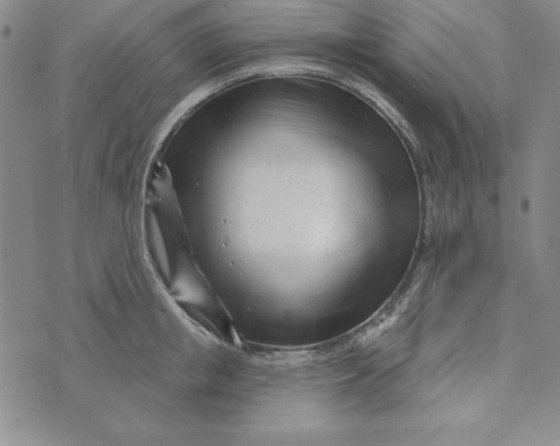 X0000074020853200609111647