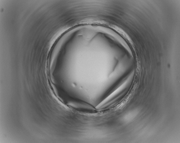 X0000074020855200609111647