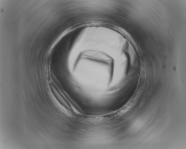X0000074020859200609111647