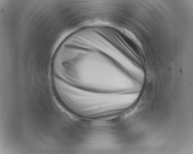 X0000074020863200609111647