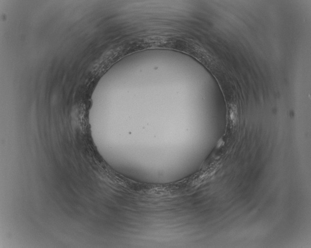 X0000074020867200609111646