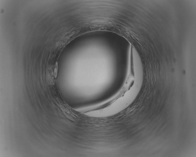 X0000074020868200609111646