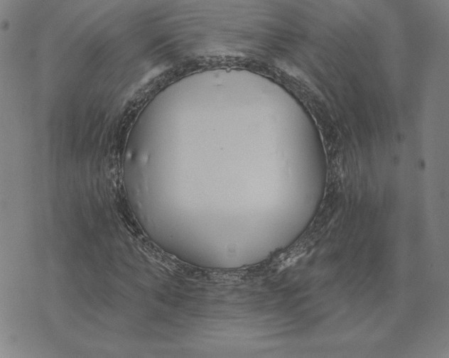 X0000074020870200609111646