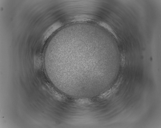 X0000074020874200609111646