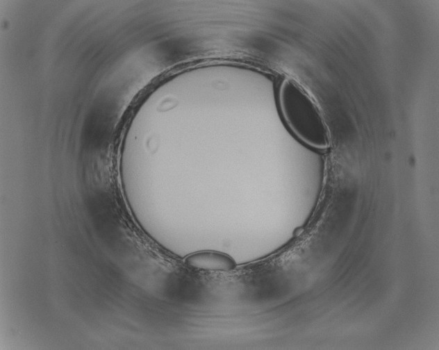 X0000074020875200609111646