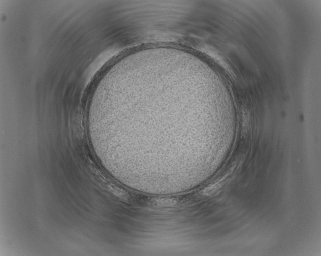 X0000074020878200609111646