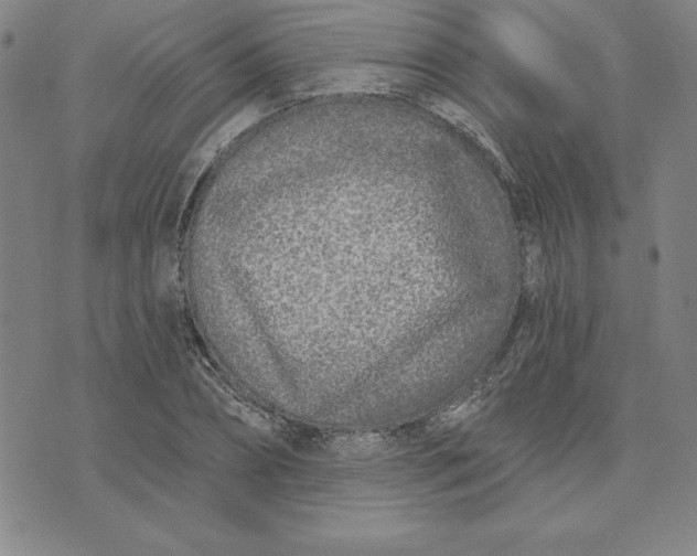 X0000074020882200609111646