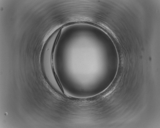X0000074020885200609111646