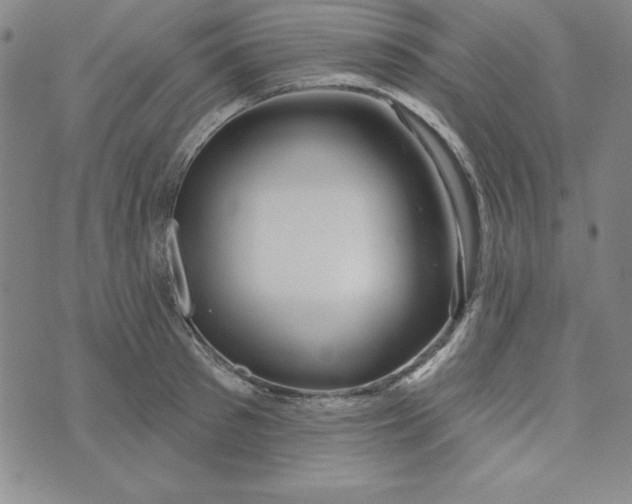 X0000074020897200609111646