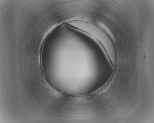 X0000074020900200609111646