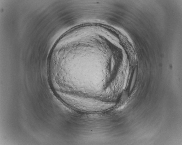 X0000074020903200609111645