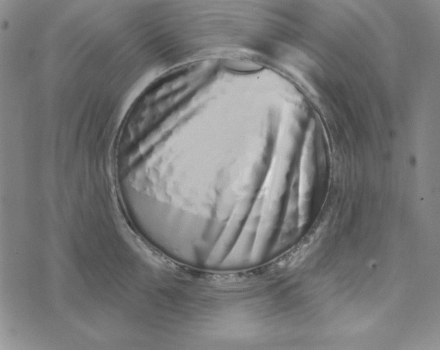 X0000074020907200609111645
