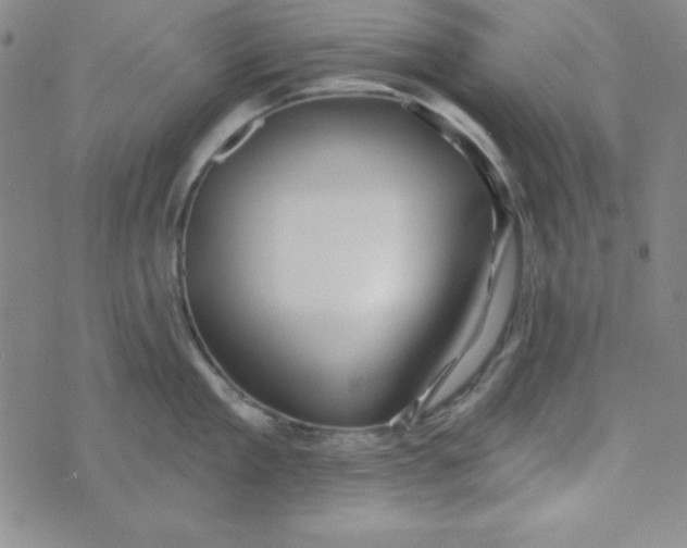 X0000074020909200609111645