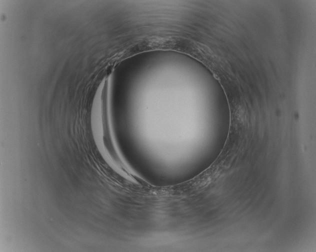 X0000074020914200609111645