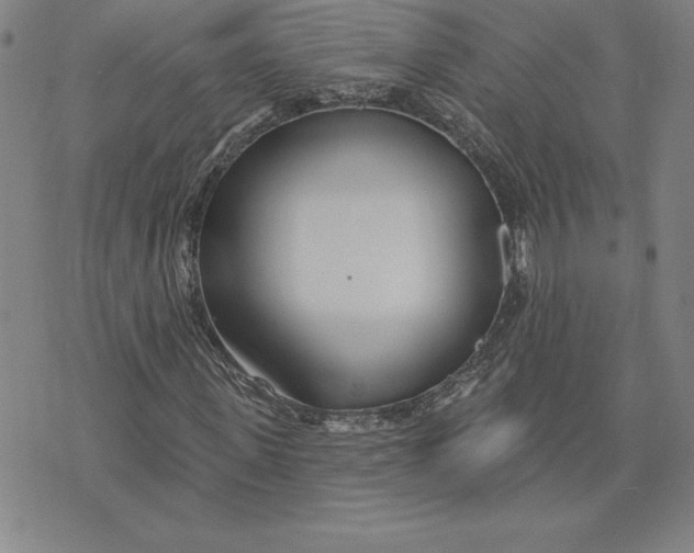 X0000074020915200609111645
