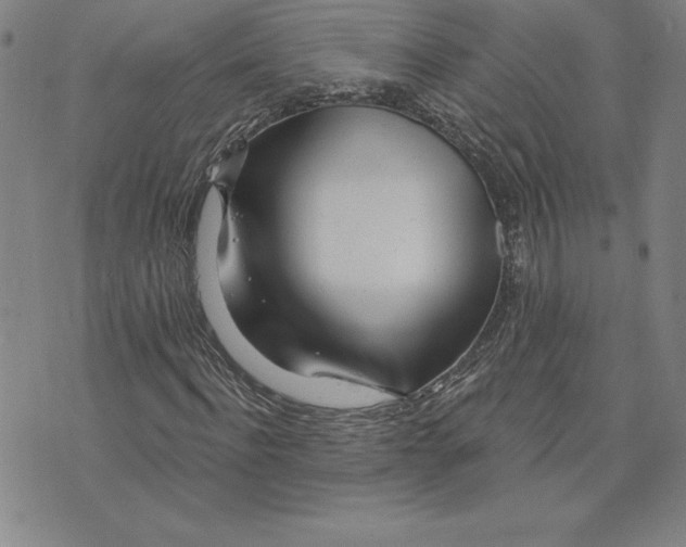 X0000074020916200609111645