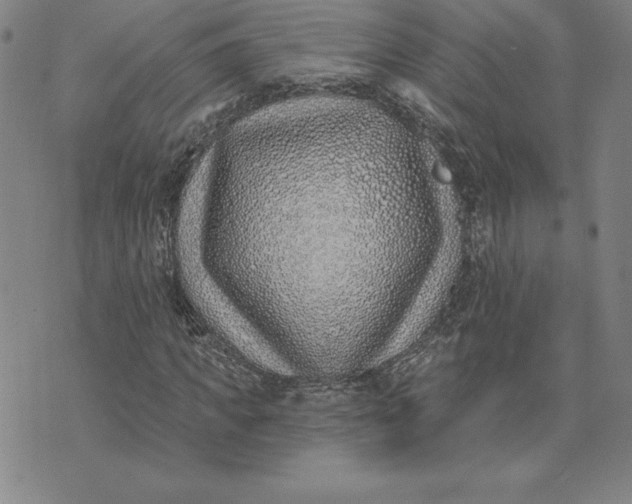X0000074020917200609111645