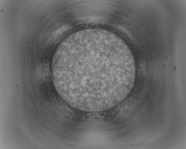 X0000074020918200609111645