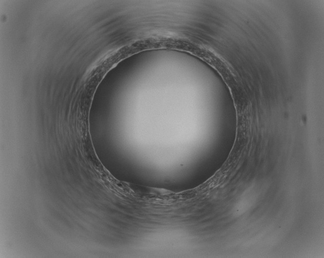 X0000074020919200609111645