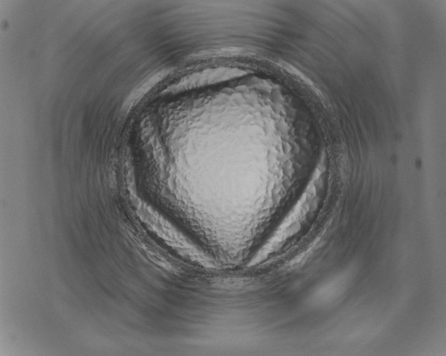 X0000074020921200609111645