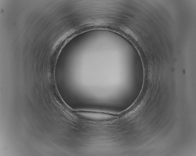 X0000074020922200609111645