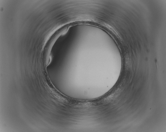 X0000074020926200609111645