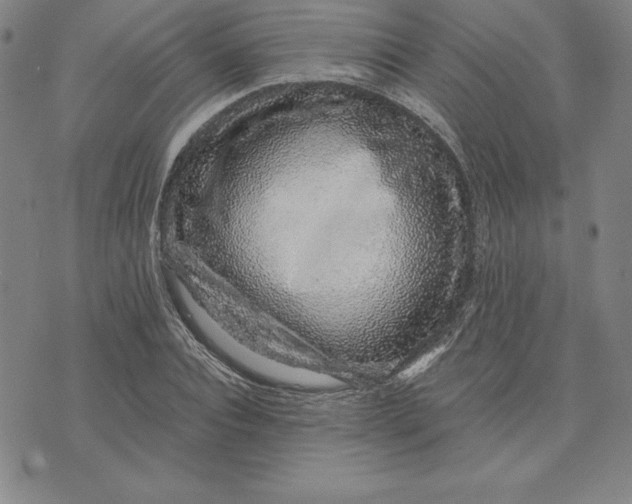 X0000074020928200609111645