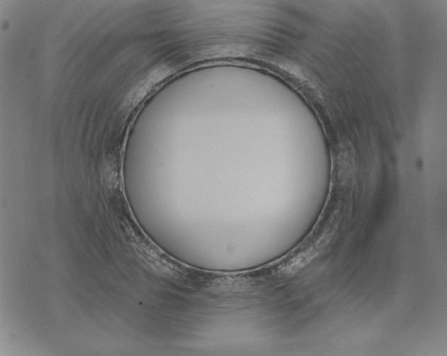 X0000074020929200609111645
