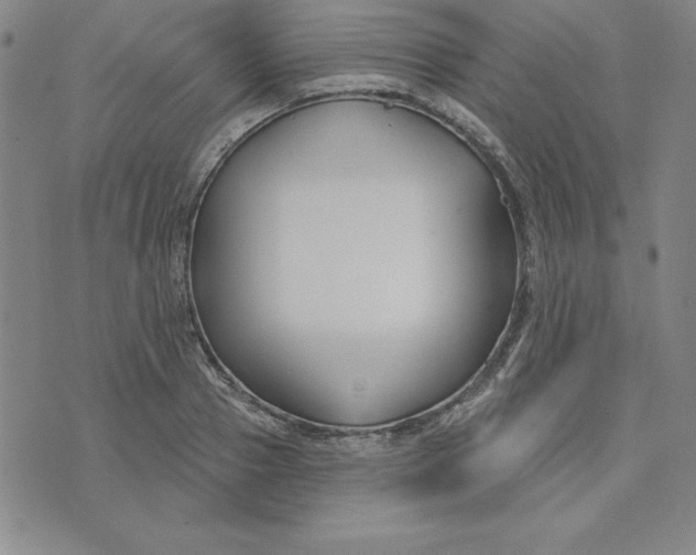 X0000074020937200609111645