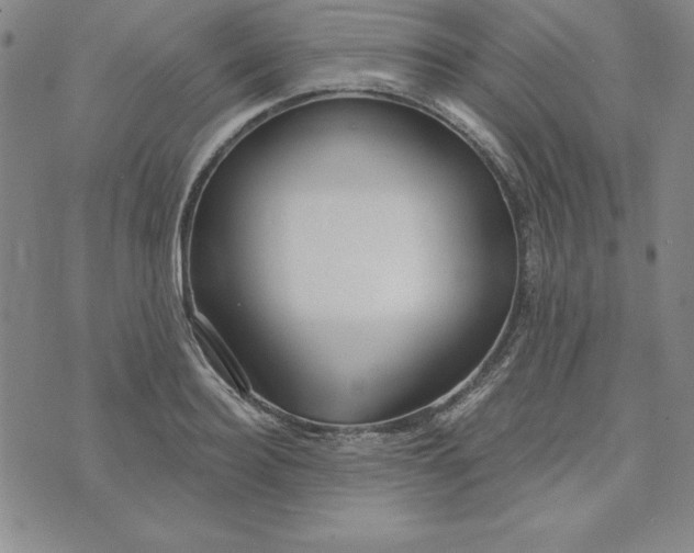 X0000074020940200609111645