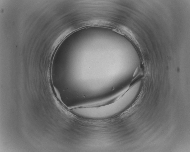 X0000074020946200609111645