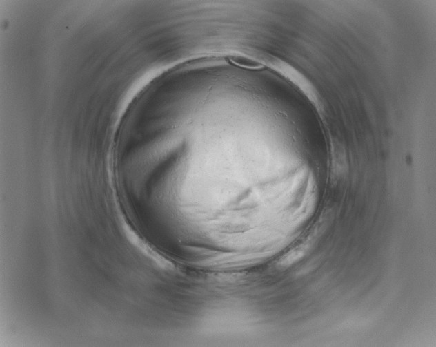 X0000074020958200609111645