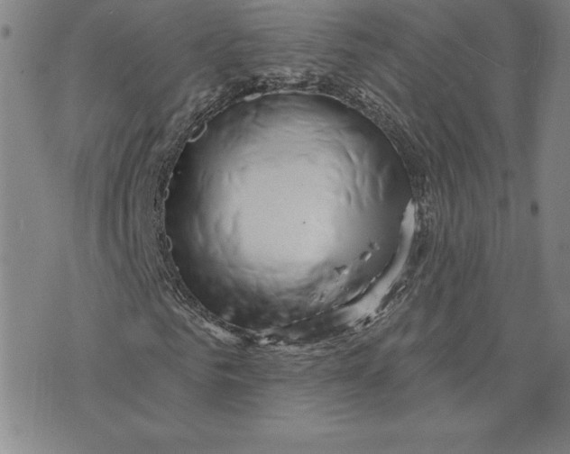 X0000074020961200609111645