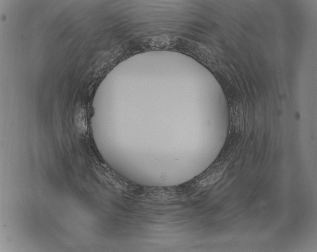 X0000074020962200609111645