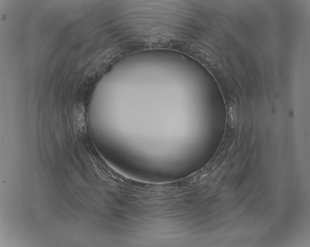 X0000074020963200609111645