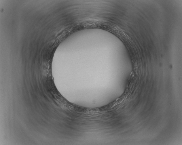X0000074020964200609111645