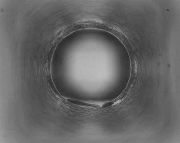 X0000074020965200609111644
