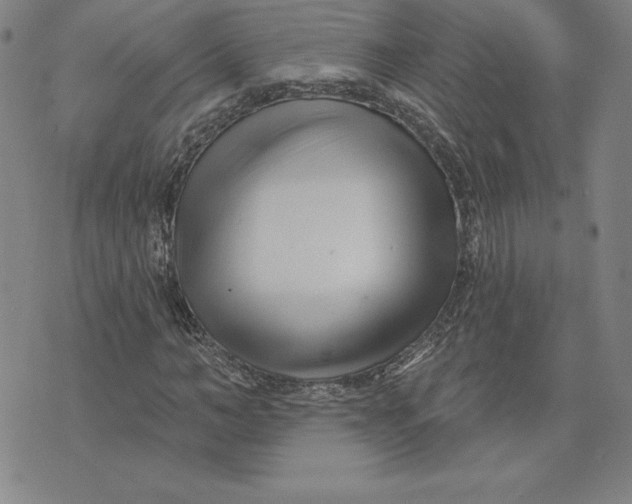 X0000074020966200609111644