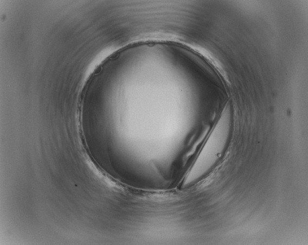 X0000074020998200609111644