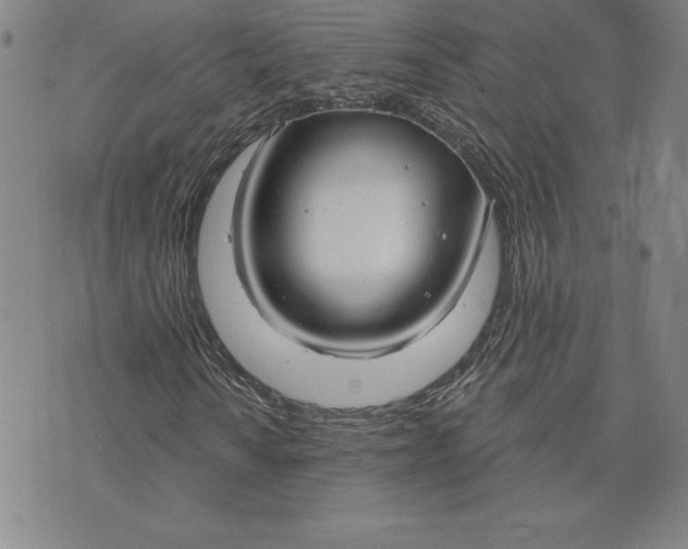 X0000074021010200609111643