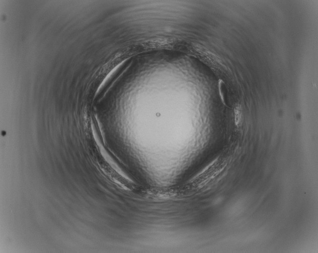 X0000074021011200609111643