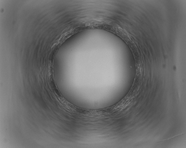 X0000074021012200609111643