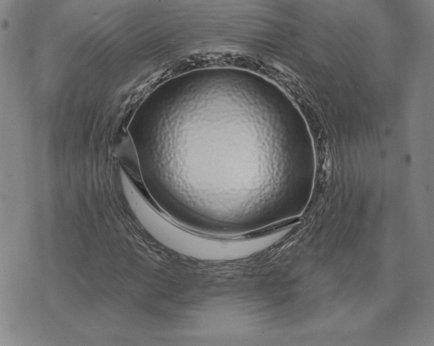 X0000074021014200609111643