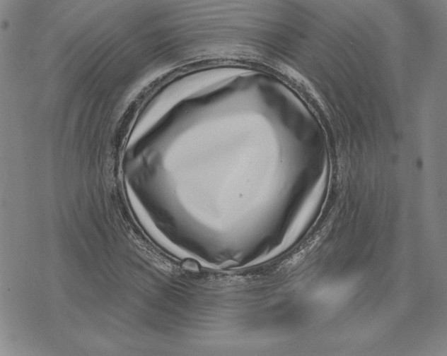 X0000074021019200609111643