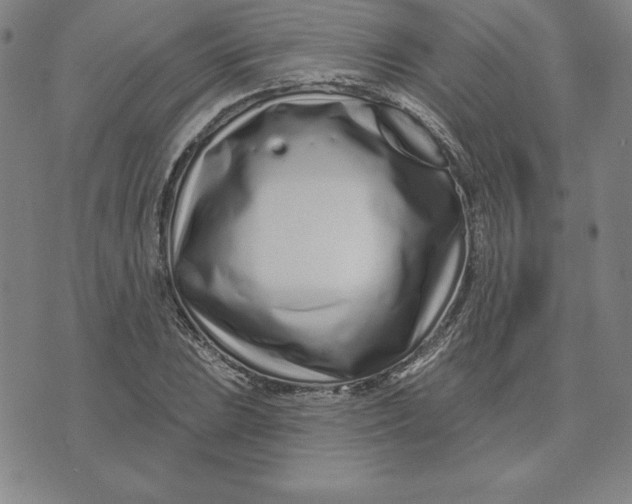 X0000074021023200609111643