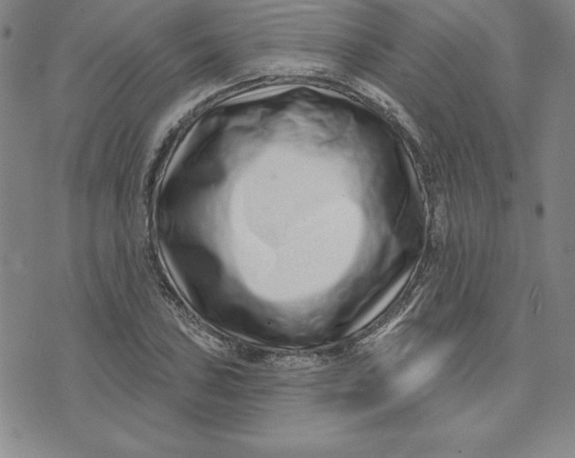 X0000074021027200609111643