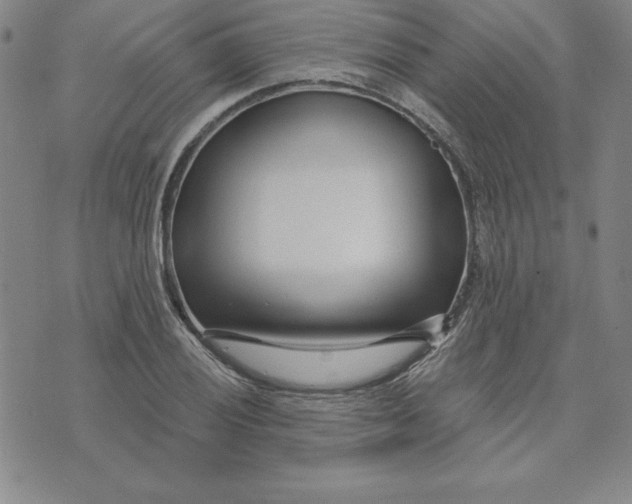 X0000074021028200609111643