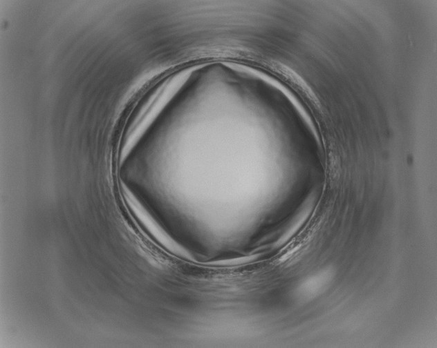 X0000074021035200609111643