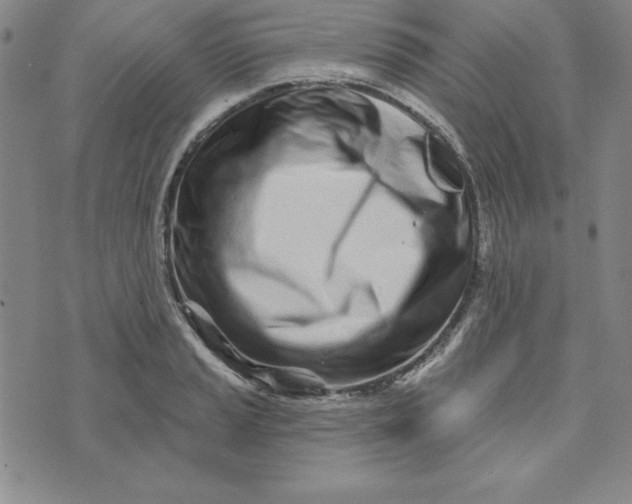 X0000074021037200609111643