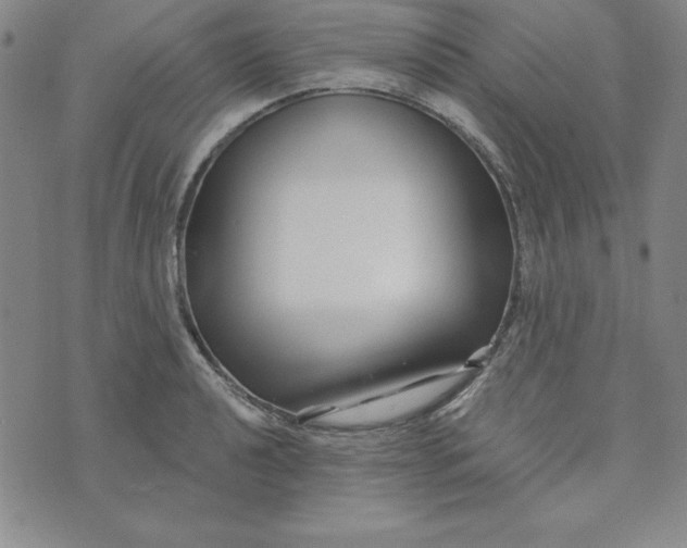 X0000074021040200609111644
